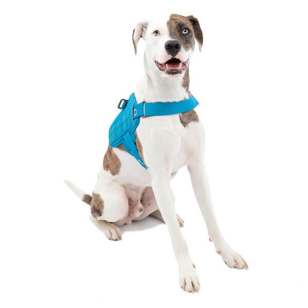 Kurgo RSG Townie Harness Blau Gr. XS Kurgo RSG Townie Harness Blau Gr. XS